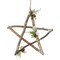 Northlight Frosted Pinecone Natural Wood Branch Christmas Star Wall Decoration - 13.75"